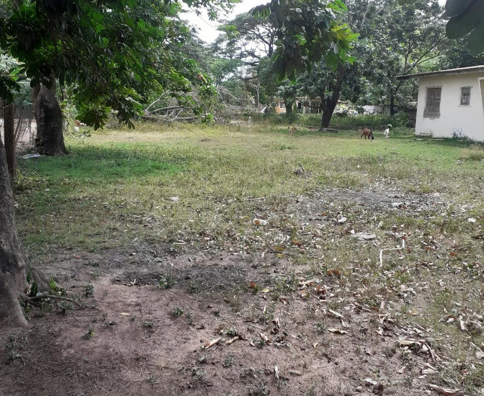 Sixth image of Lot 135 Foga Road in May Pen, Clarendon, Jamaica - property is For Sale