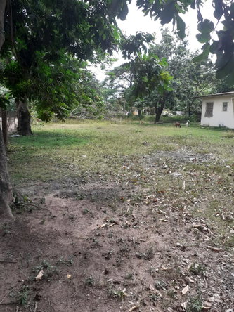 Sixth image of Lot 135 Foga Road in May Pen, Clarendon, Jamaica - property is For Sale