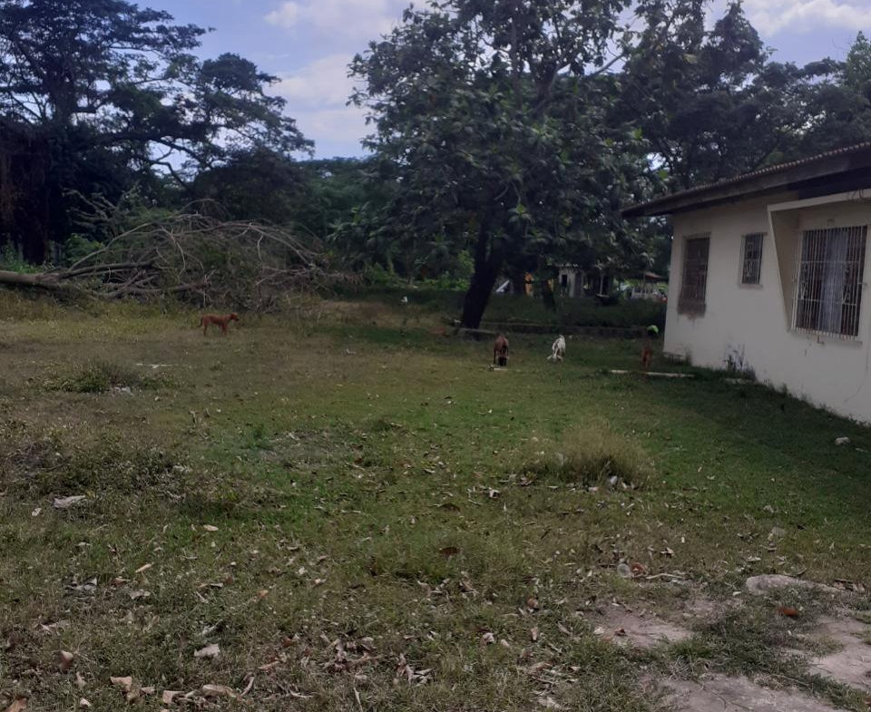 Seventh image of Lot 135 Foga Road in May Pen, Clarendon, Jamaica - property is For Sale