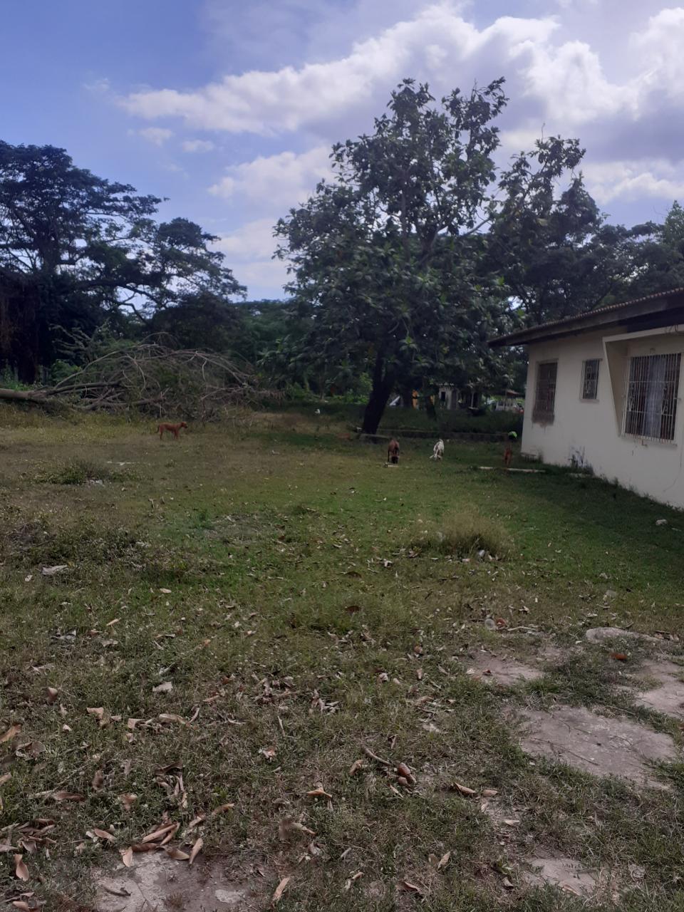 Seventh image of Lot 135 Foga Road in May Pen, Clarendon, Jamaica - property is For Sale