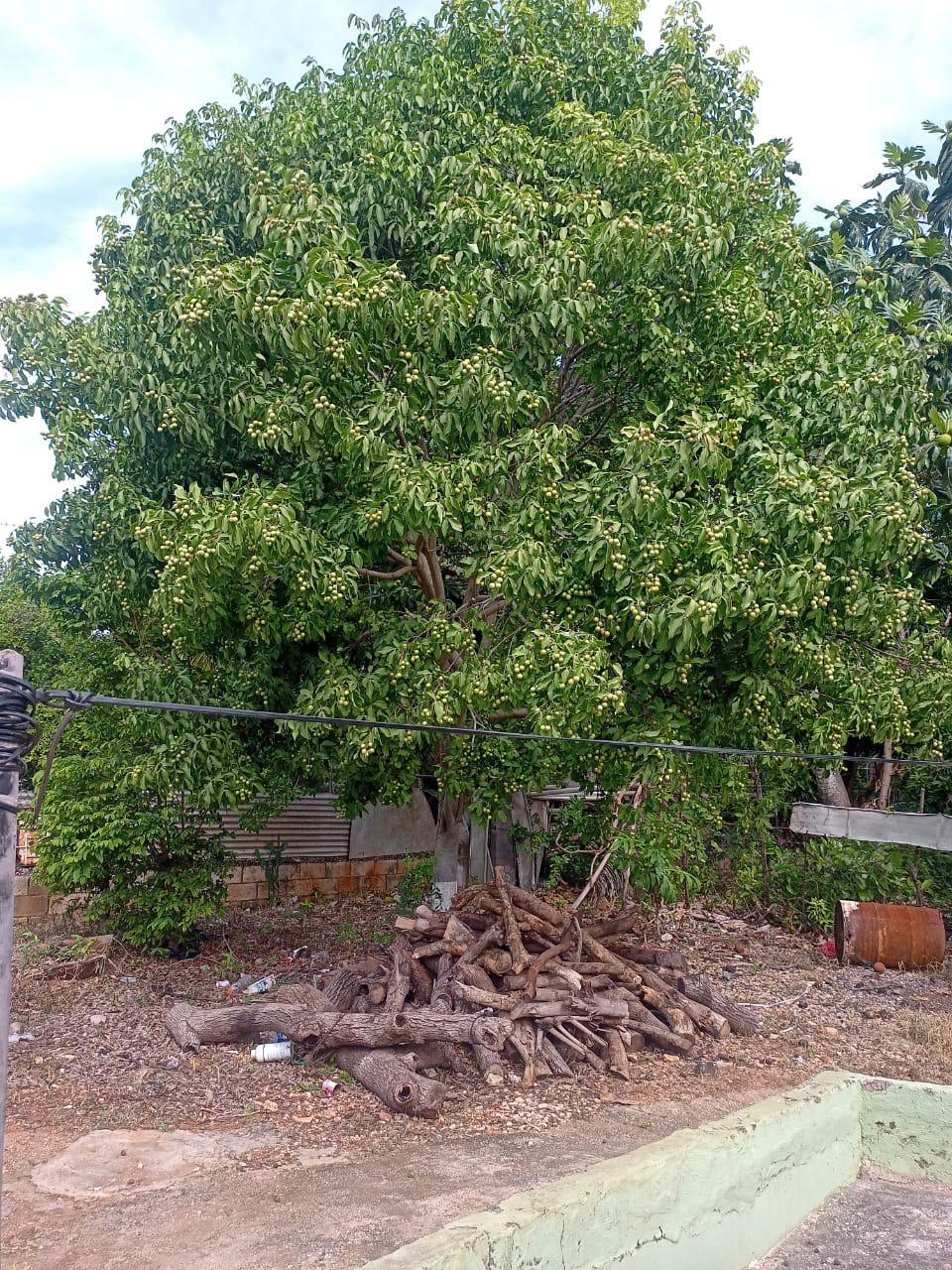 Fourteenth image of Ironshore in Montego Bay, St. James, Jamaica - property is For Sale