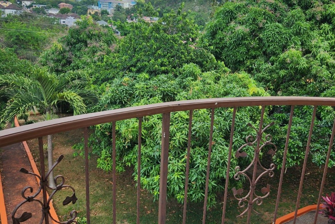 Eleventh image of 4 Retter Drive in Belvedere, St. Andrew, Jamaica - property is For Rent