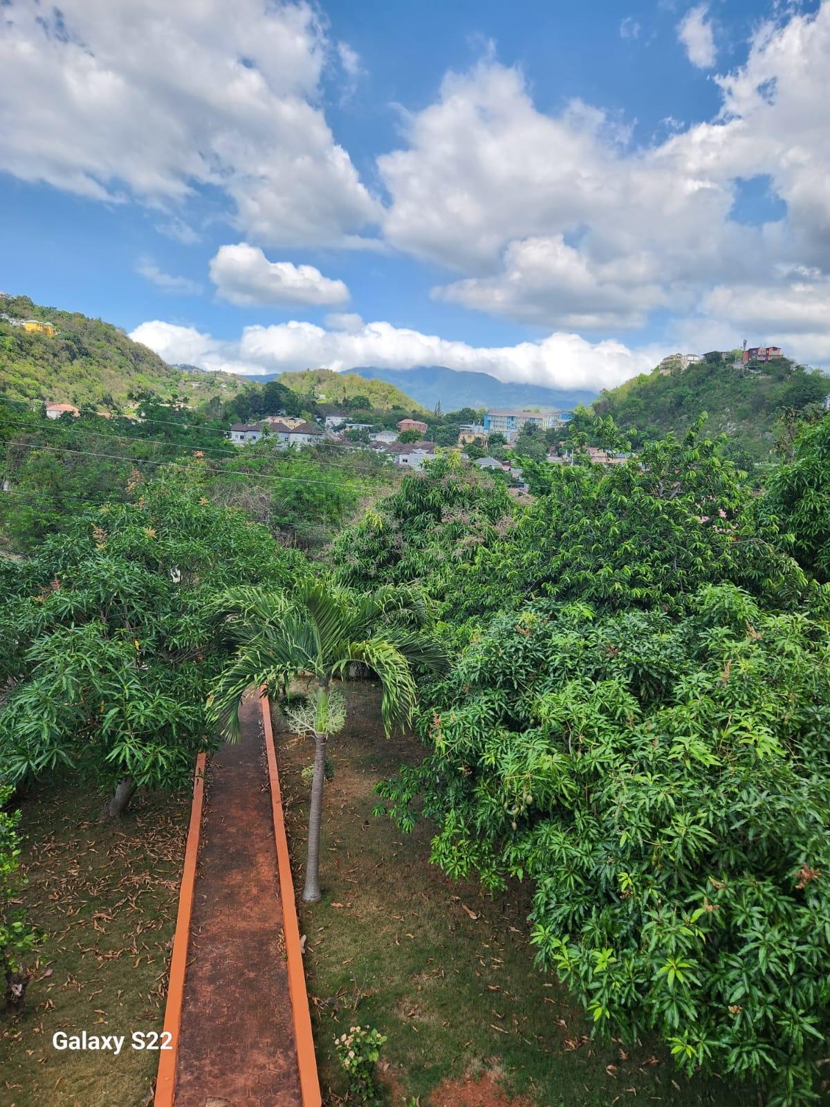 Twelfth image of 4 Retter Drive in Belvedere, St. Andrew, Jamaica - property is For Rent