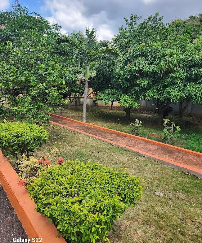 Fourth image of 4 Retter Drive in Belvedere, St. Andrew, Jamaica - property is For Rent