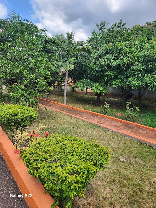 Fourth image of 4 Retter Drive in Belvedere, St. Andrew, Jamaica - property is For Rent