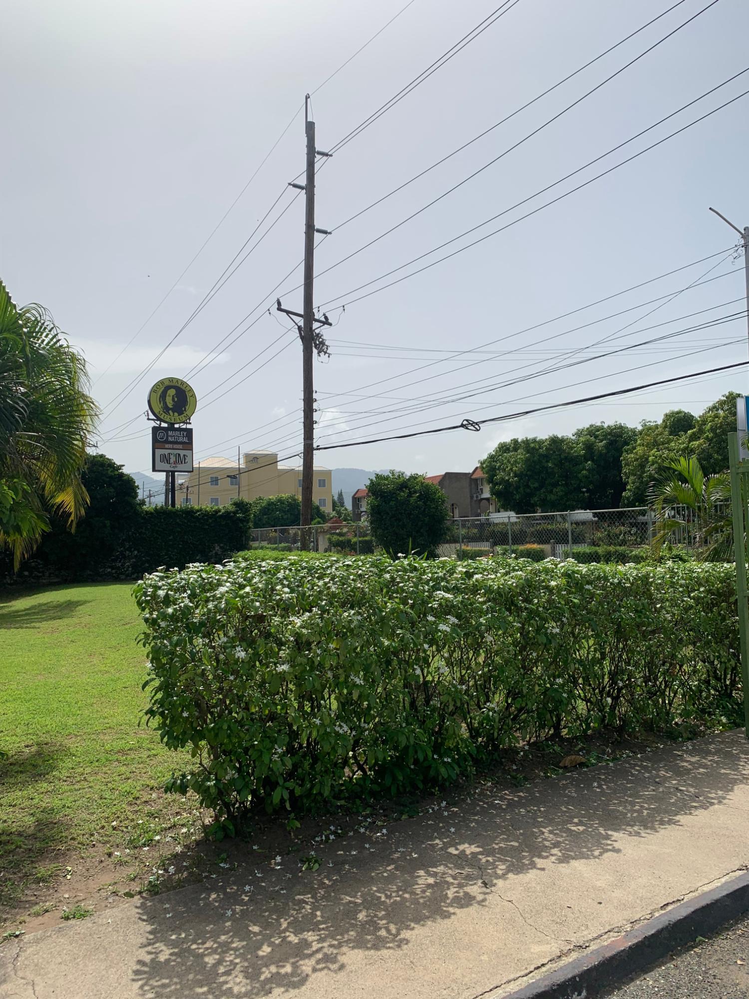 Fourth image of 11-52-54 Hope Road in Kingston 6, St. Andrew, Jamaica - property is For Rent