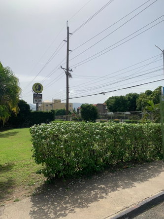 Fourth image of 11-52-54 Hope Road in Kingston 6, St. Andrew, Jamaica - property is For Rent