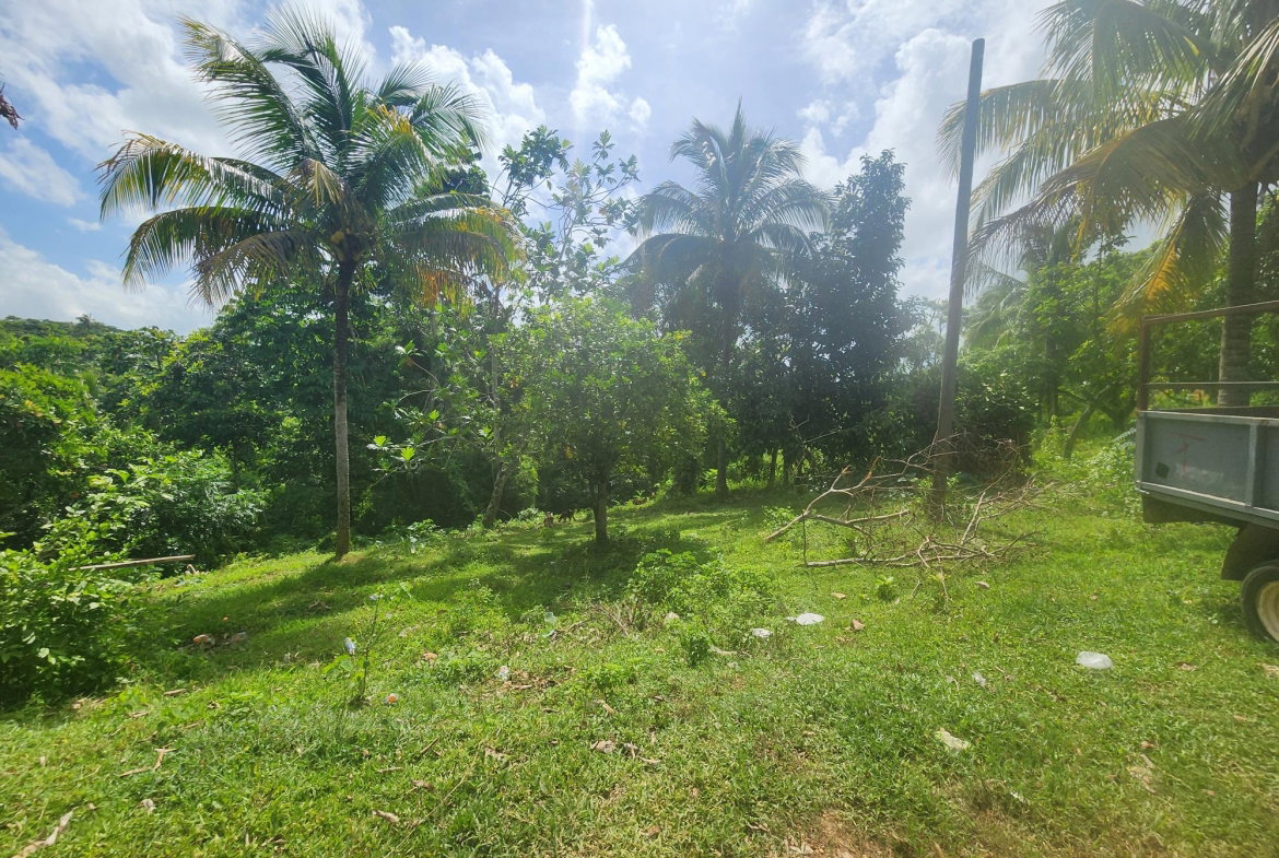 Second image of Cheesefield in Linstead, St. Catherine, Jamaica - property is For Sale
