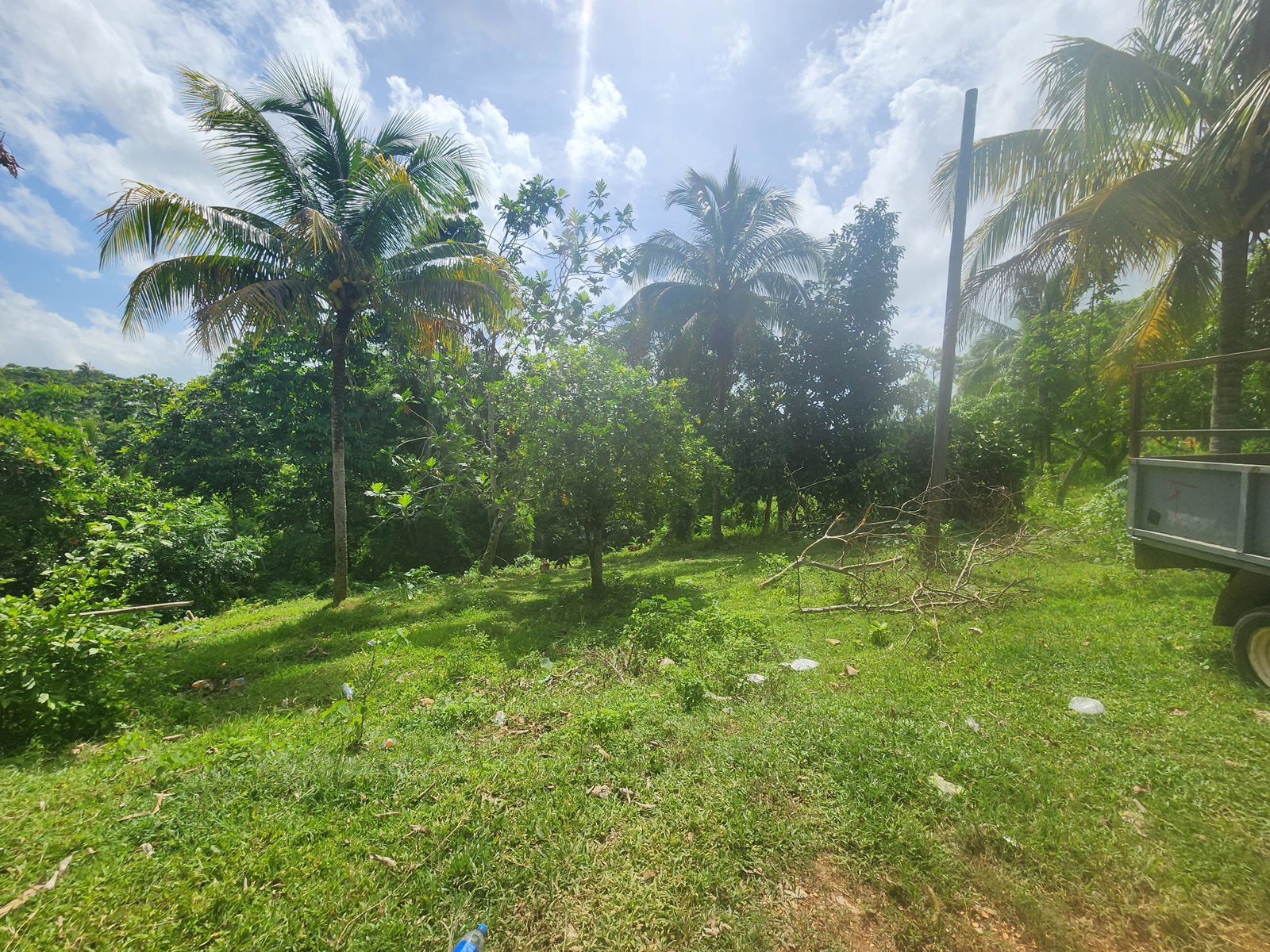 Second image of Cheesefield in Linstead, St. Catherine, Jamaica - property is For Sale