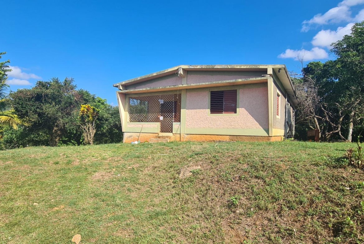 Twenty-Seventh image of Cheesefield in Linstead, St. Catherine, Jamaica - property is For Sale