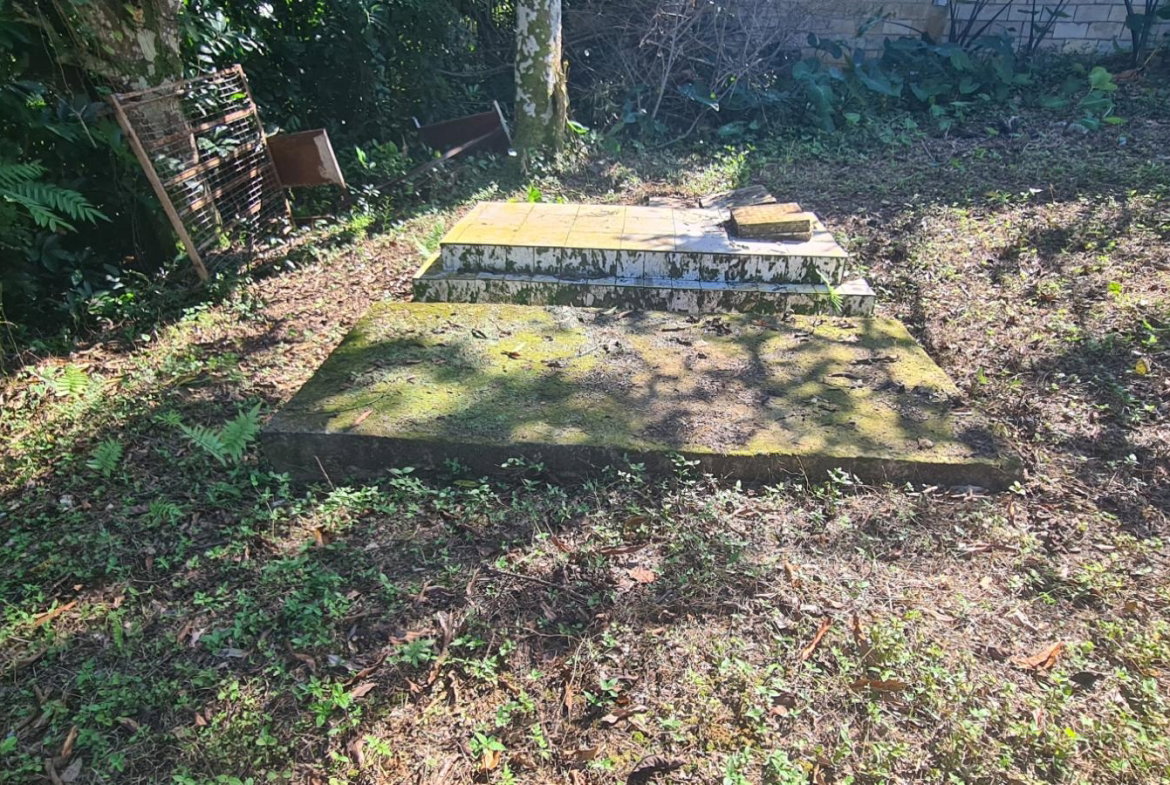 Ninth image of Cheesefield in Linstead, St. Catherine, Jamaica - property is For Sale
