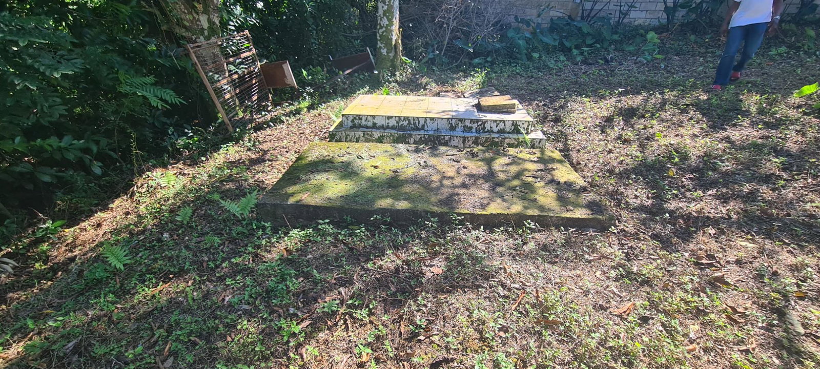 Ninth image of Cheesefield in Linstead, St. Catherine, Jamaica - property is For Sale