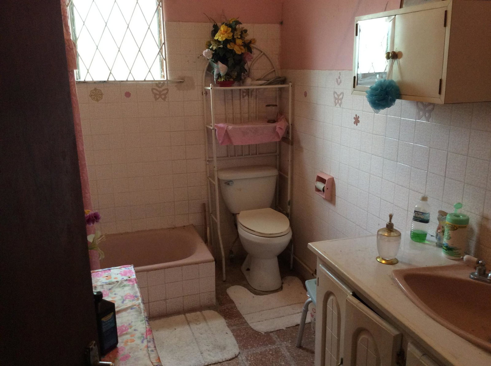 Fifteenth image of Rosemount Road, Linstead, in Linstead, St. Catherine, Jamaica - property is For Sale