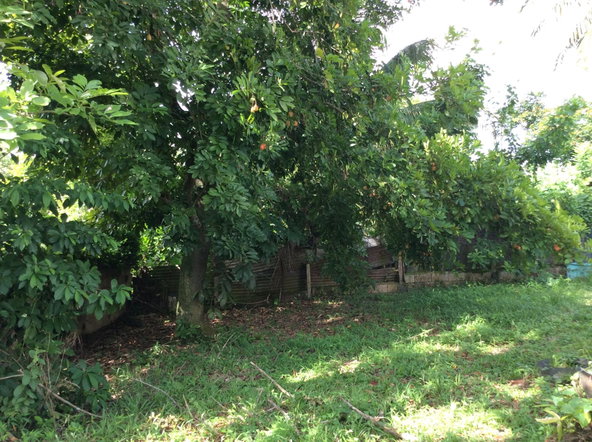 Eighth image of Rosemount Road, Linstead, in Linstead, St. Catherine, Jamaica - property is For Sale