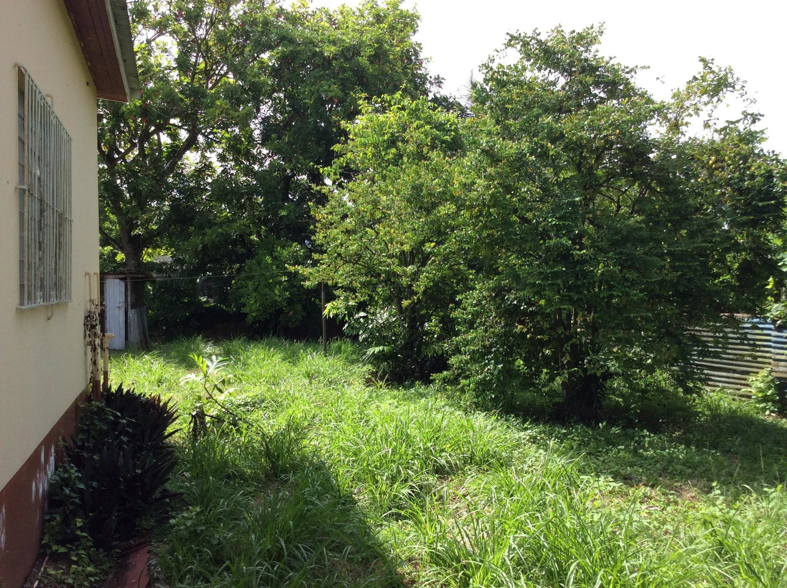 Tenth image of Rosemount Road, Linstead, in Linstead, St. Catherine, Jamaica - property is For Sale
