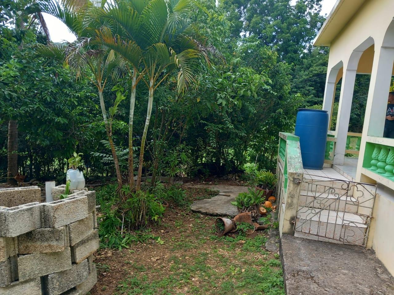 Second image of New Ground Lime Hall, st in Lime Hall, St. Ann, Jamaica - property is For Sale