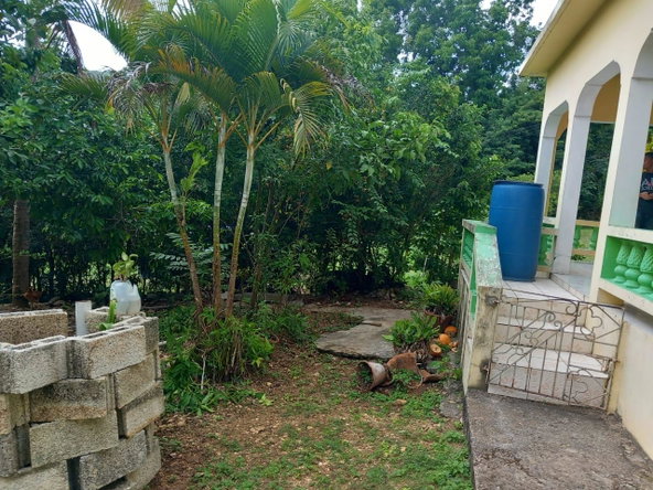 Second image of New Ground Lime Hall, st in Lime Hall, St. Ann, Jamaica - property is For Sale