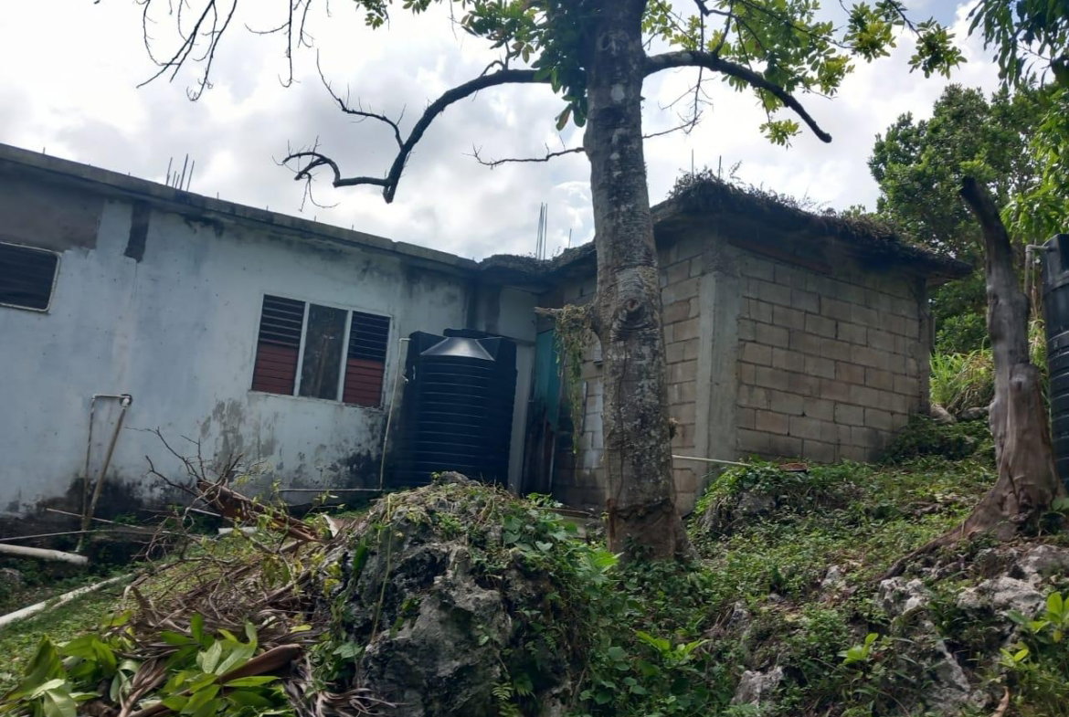 Twelfth image of New Ground Lime Hall, st in Lime Hall, St. Ann, Jamaica - property is For Sale