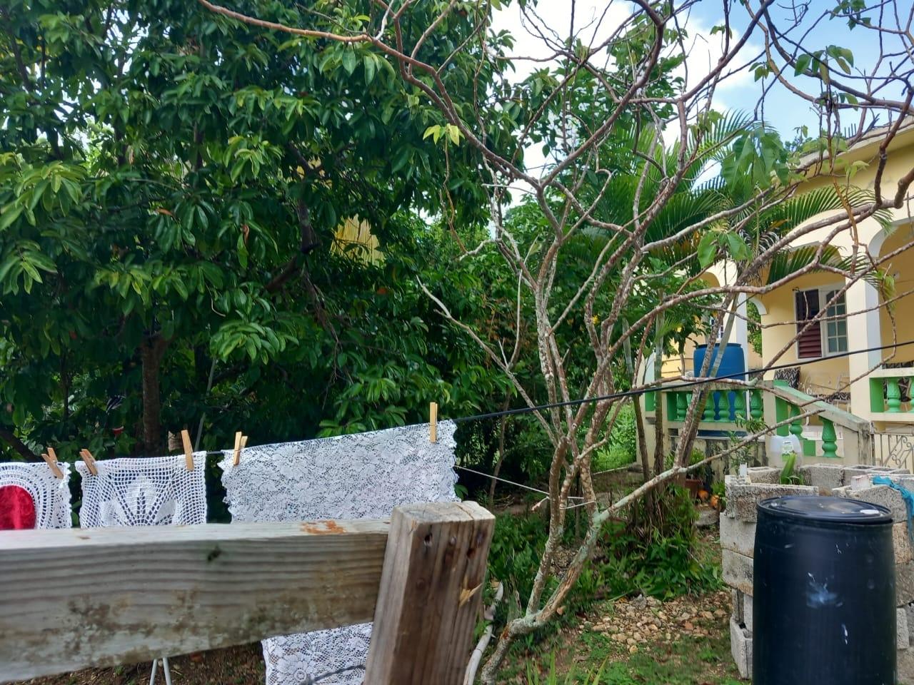 Fourteenth image of New Ground Lime Hall, st in Lime Hall, St. Ann, Jamaica - property is For Sale