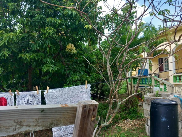 Fourteenth image of New Ground Lime Hall, st in Lime Hall, St. Ann, Jamaica - property is For Sale