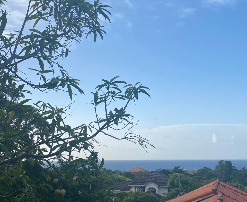 Thirtieth image of Huddersfield , Lot #58 in Tower Isle, St. Mary, Jamaica - property is For Sale