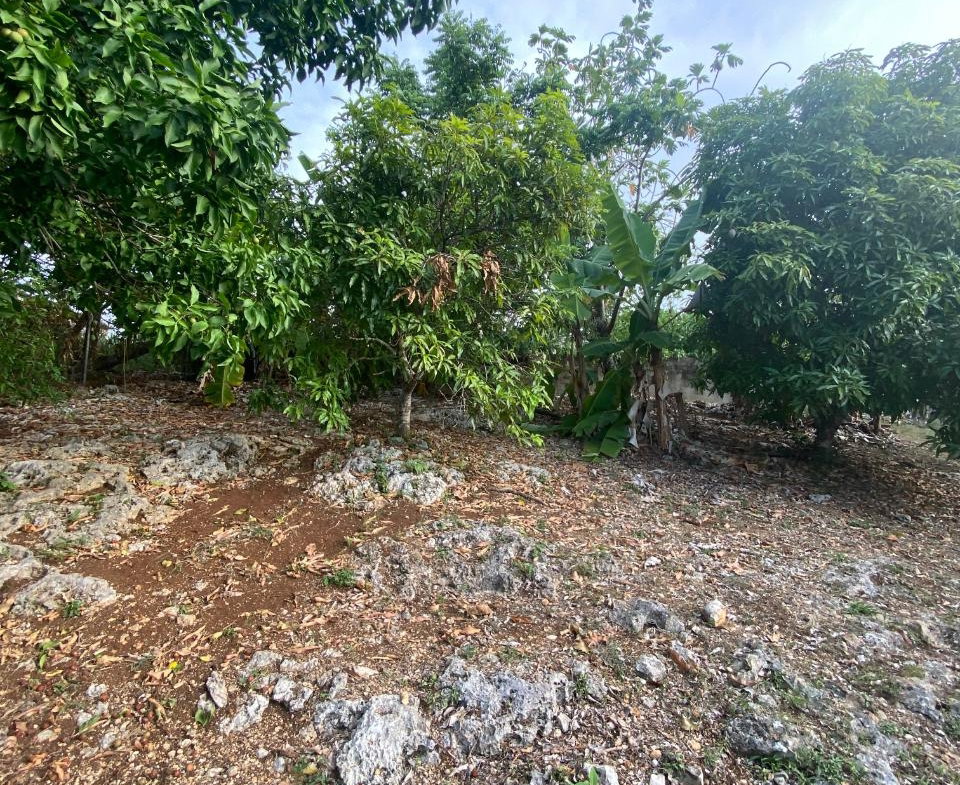 Seventh image of Huddersfield , Lot #58 in Tower Isle, St. Mary, Jamaica - property is For Sale
