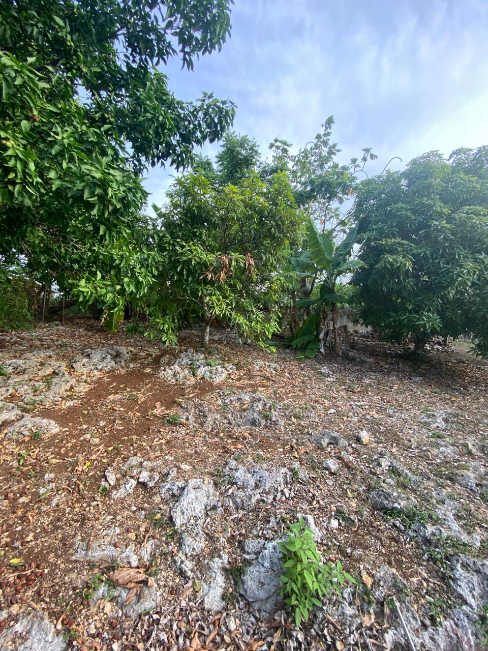 Spacious-3-Bedroom-Home-for-Sale-in-St.-Mary-Jamaica Seventh image of Huddersfield , Lot #58 in Tower Isle, St. Mary, Jamaica - property is For Sale