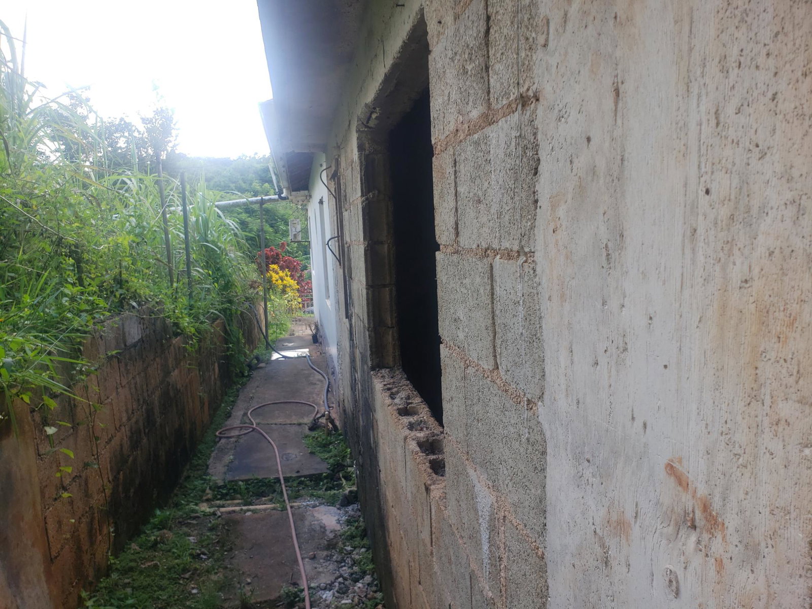 Spacious-3-Bedroom-Home-with-Fruit-Trees-in-Manchester-Jamaica Eighth image of Ellen Street in Ellen Street, Manchester, Jamaica - property is For Sale