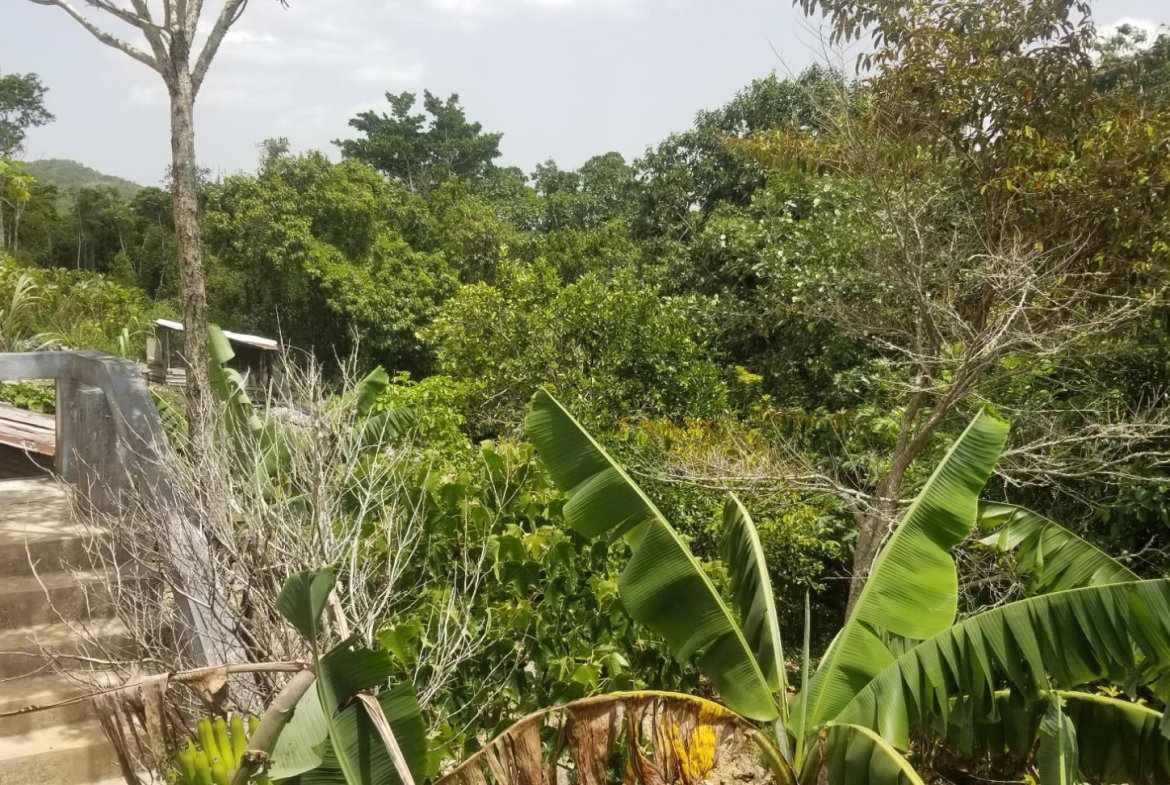 Twelfth image of Chudleigh, Mandeville in Mandeville, Manchester, Jamaica - property is For Sale