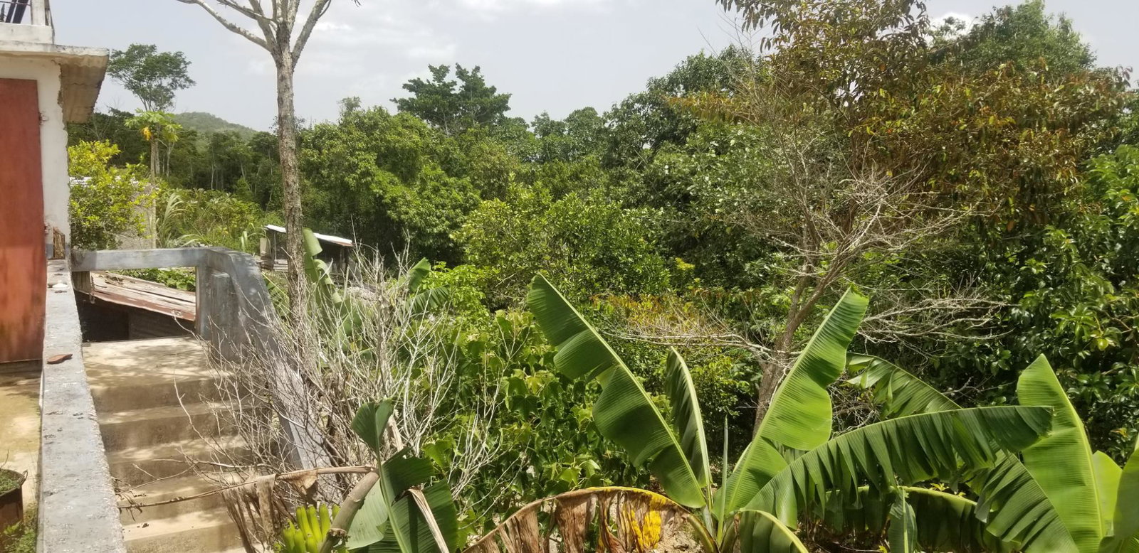 Twelfth image of Chudleigh, Mandeville in Mandeville, Manchester, Jamaica - property is For Sale