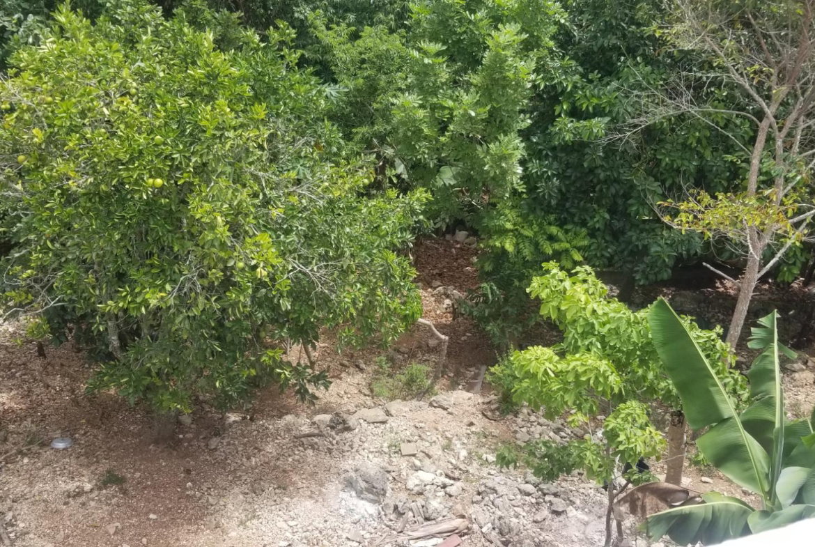 Thirteenth image of Chudleigh, Mandeville in Mandeville, Manchester, Jamaica - property is For Sale