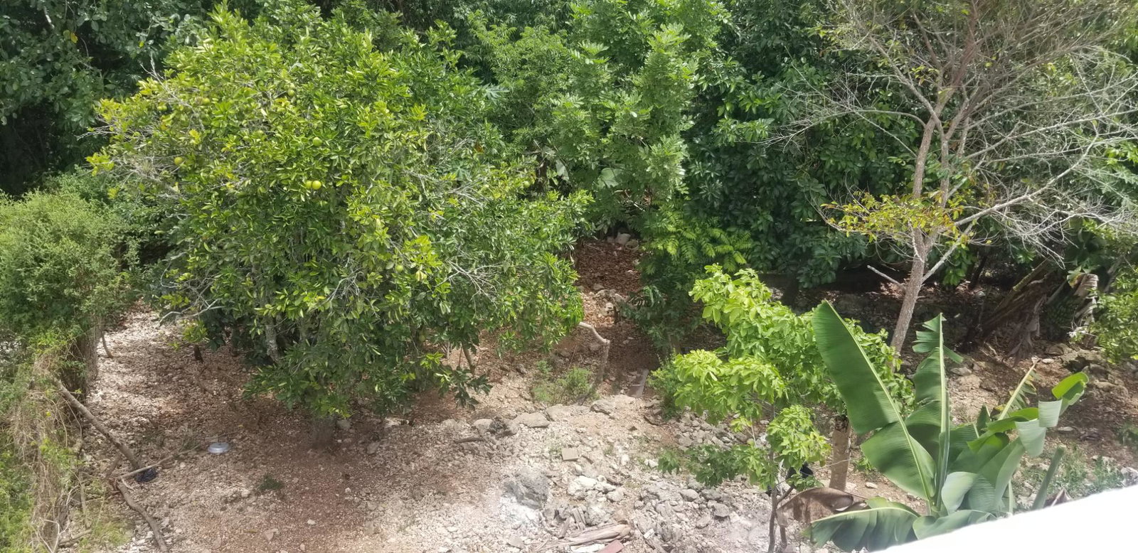 Thirteenth image of Chudleigh, Mandeville in Mandeville, Manchester, Jamaica - property is For Sale