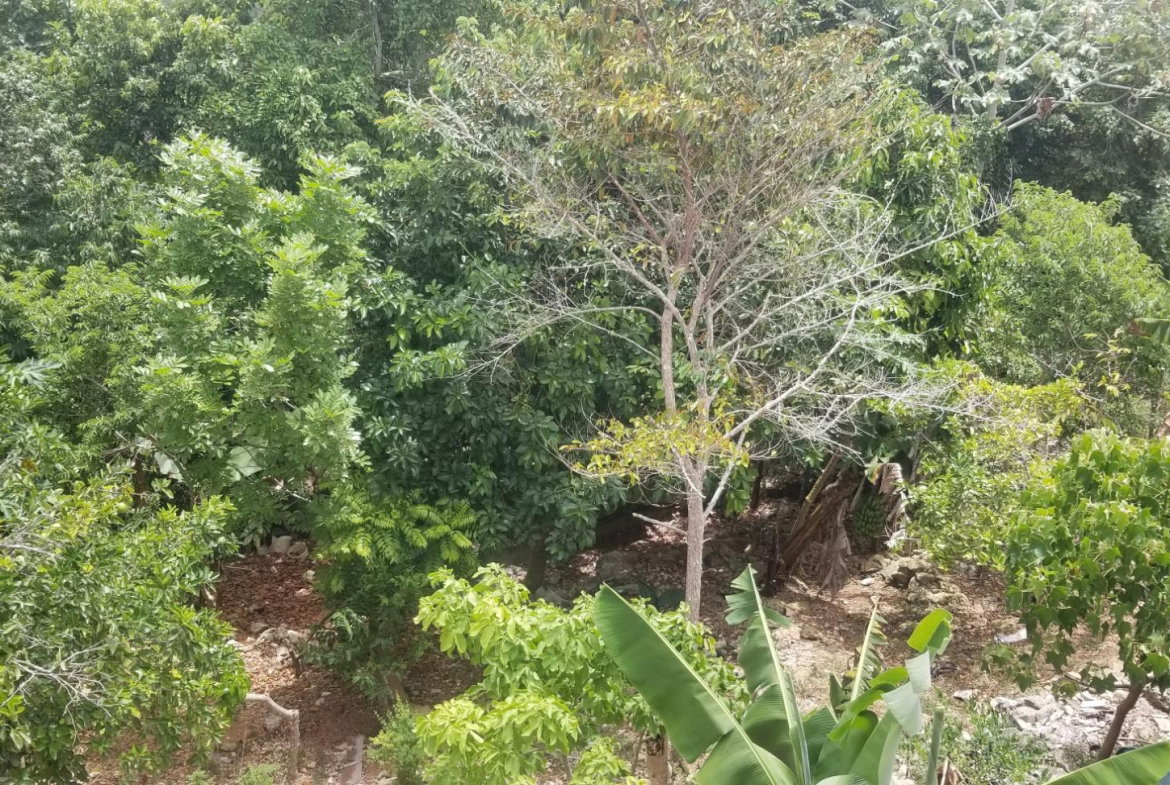 Fourteenth image of Chudleigh, Mandeville in Mandeville, Manchester, Jamaica - property is For Sale