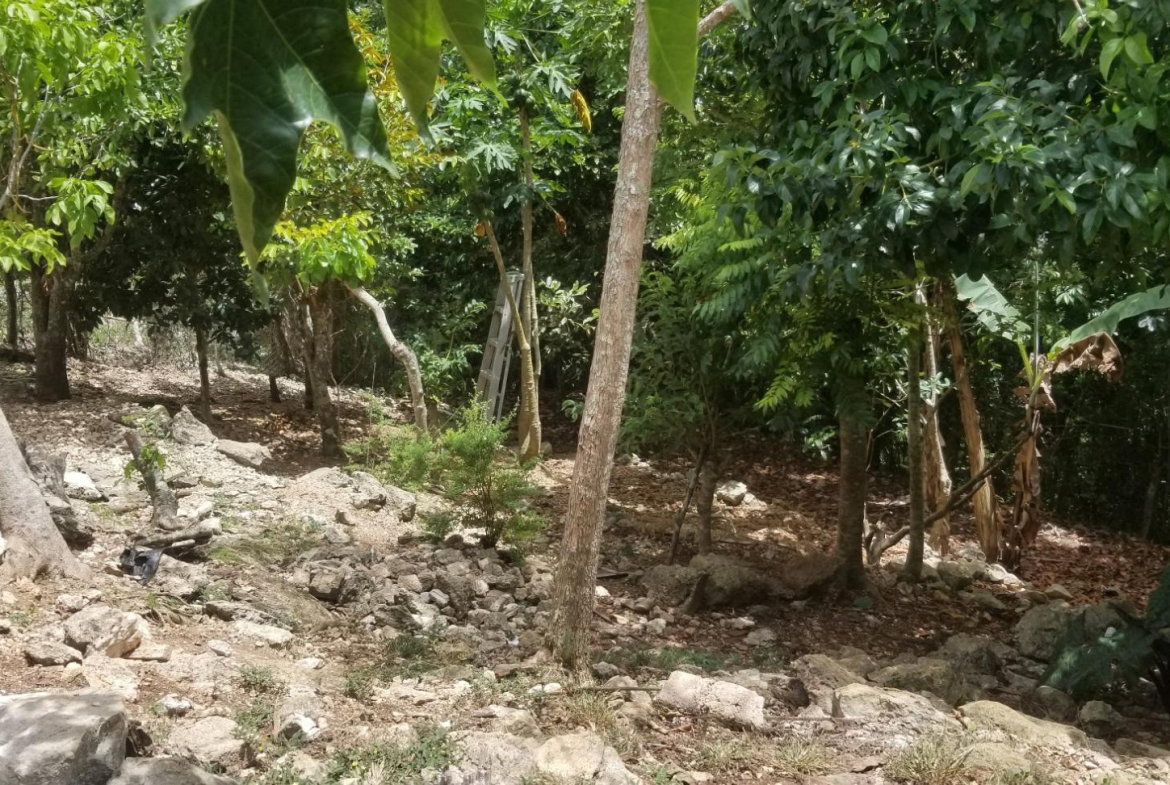 Seventeenth image of Chudleigh, Mandeville in Mandeville, Manchester, Jamaica - property is For Sale