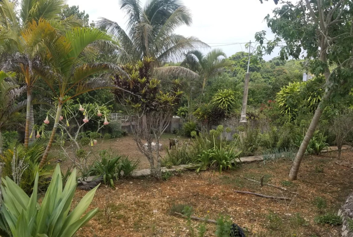 Nineteenth image of Chudleigh, Mandeville in Mandeville, Manchester, Jamaica - property is For Sale