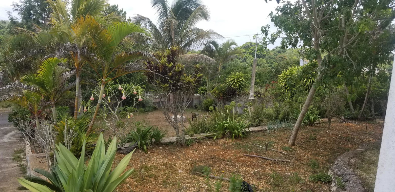 Nineteenth image of Chudleigh, Mandeville in Mandeville, Manchester, Jamaica - property is For Sale