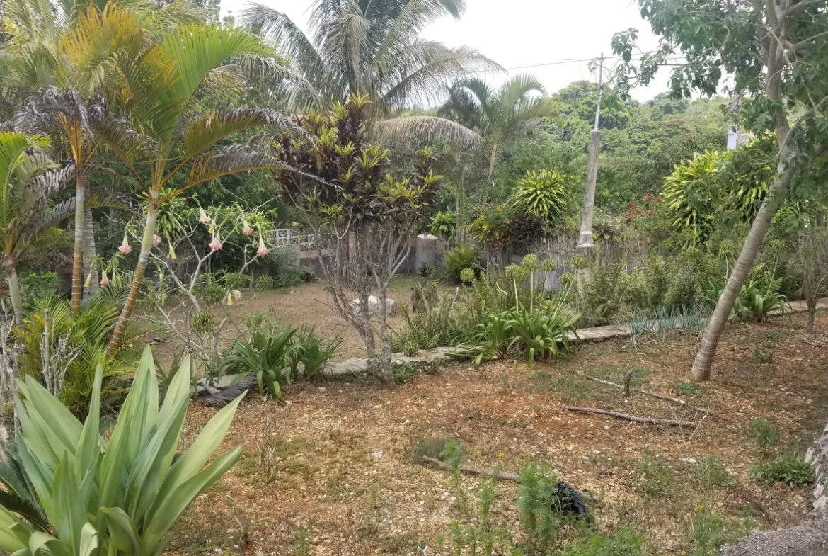 Twentieth image of Chudleigh, Mandeville in Mandeville, Manchester, Jamaica - property is For Sale