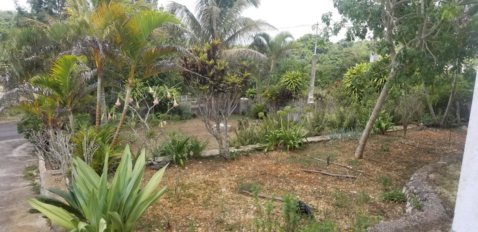 Twentieth image of Chudleigh, Mandeville in Mandeville, Manchester, Jamaica - property is For Sale