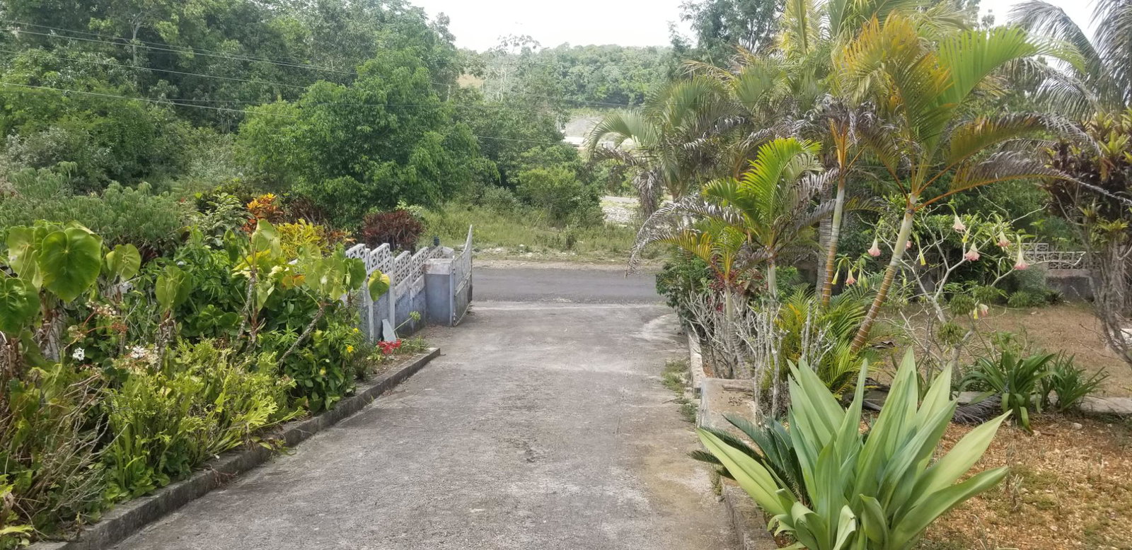 Twenty-First image of Chudleigh, Mandeville in Mandeville, Manchester, Jamaica - property is For Sale