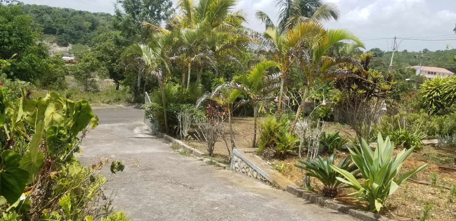 Twenty-Second image of Chudleigh, Mandeville in Mandeville, Manchester, Jamaica - property is For Sale