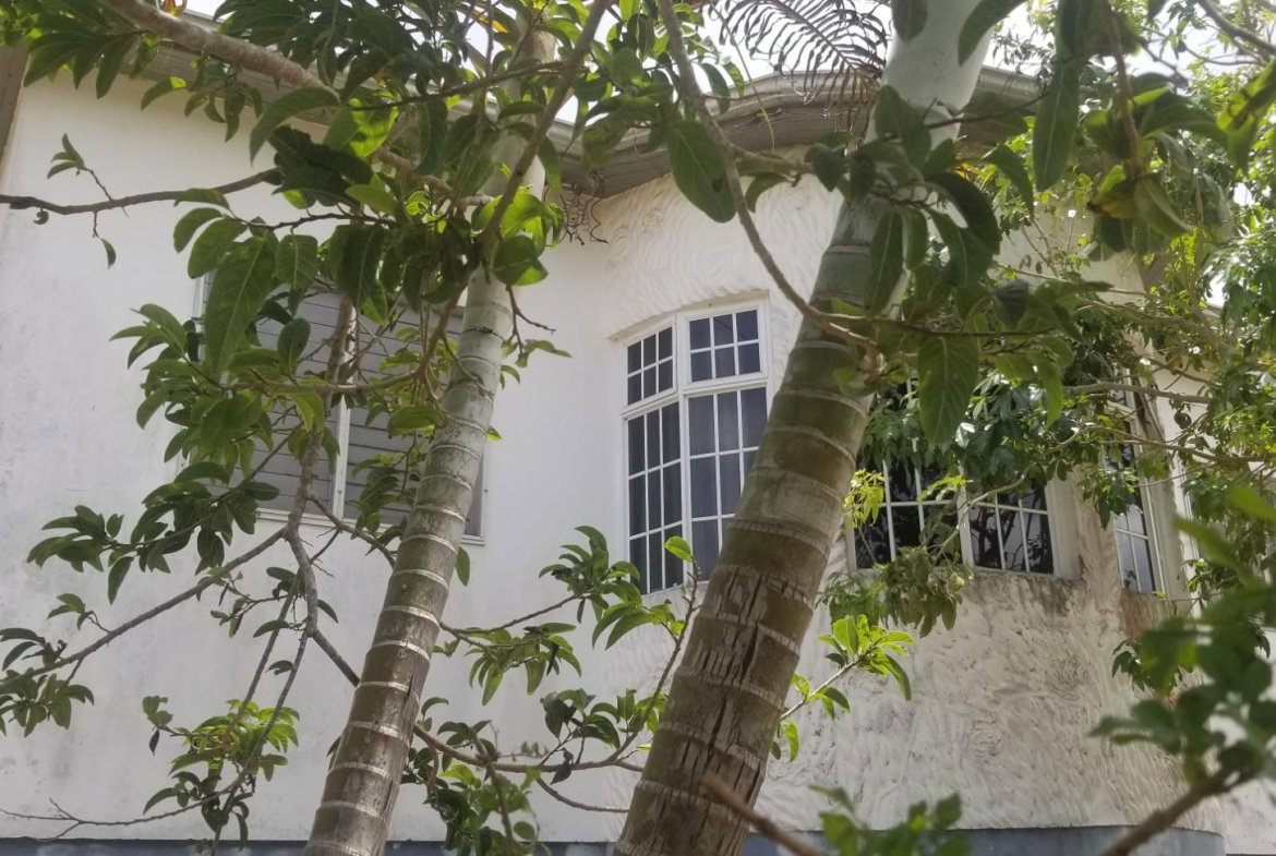 Twenty-Eighth image of Chudleigh, Mandeville in Mandeville, Manchester, Jamaica - property is For Sale