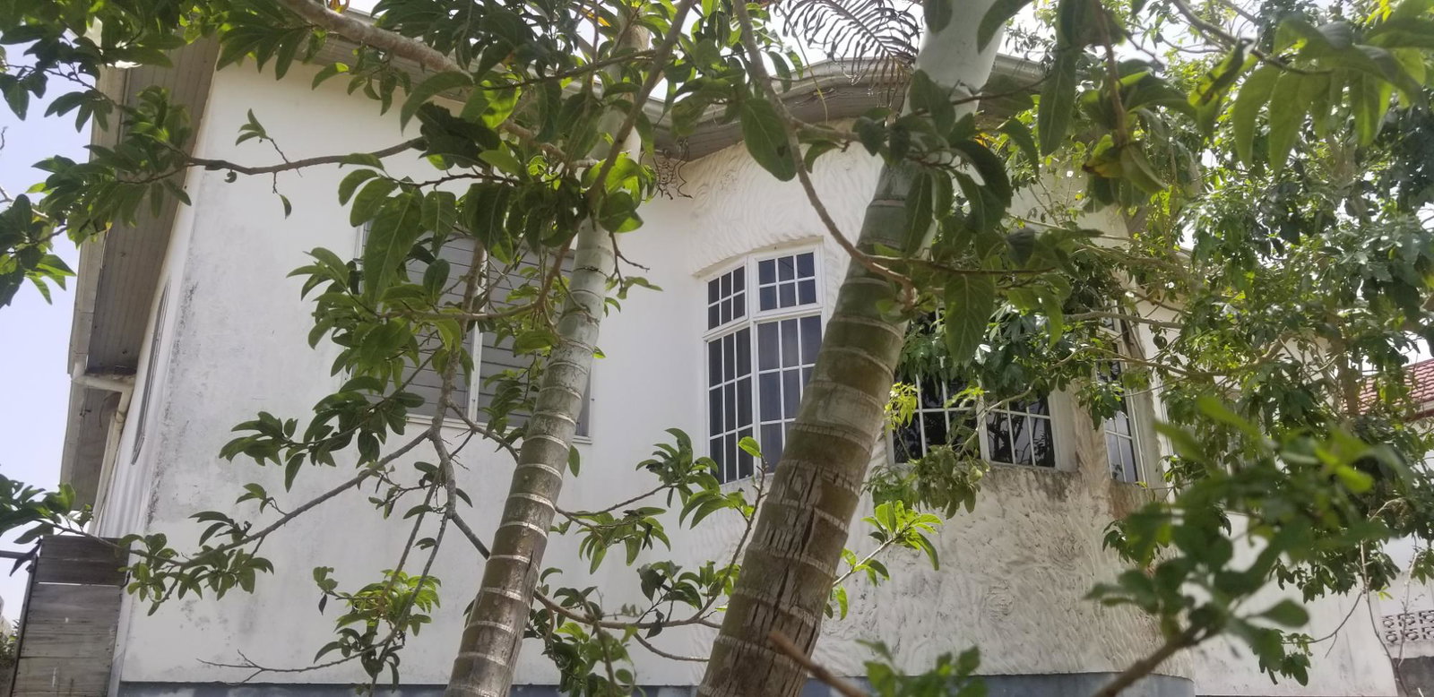 Twenty-Eighth image of Chudleigh, Mandeville in Mandeville, Manchester, Jamaica - property is For Sale