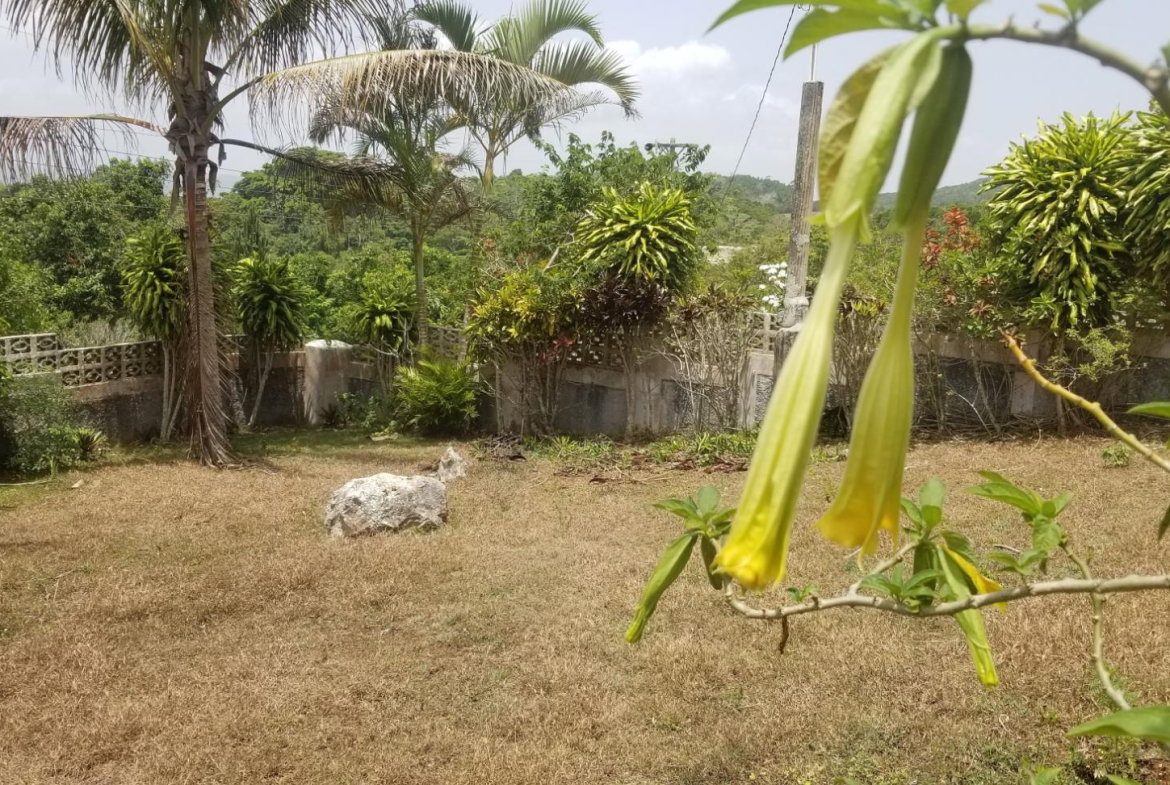 Twenty-Ninth image of Chudleigh, Mandeville in Mandeville, Manchester, Jamaica - property is For Sale