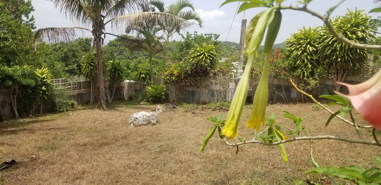 Twenty-Ninth image of Chudleigh, Mandeville in Mandeville, Manchester, Jamaica - property is For Sale