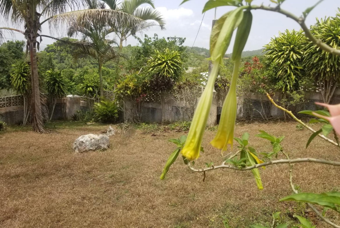 Thirtieth image of Chudleigh, Mandeville in Mandeville, Manchester, Jamaica - property is For Sale