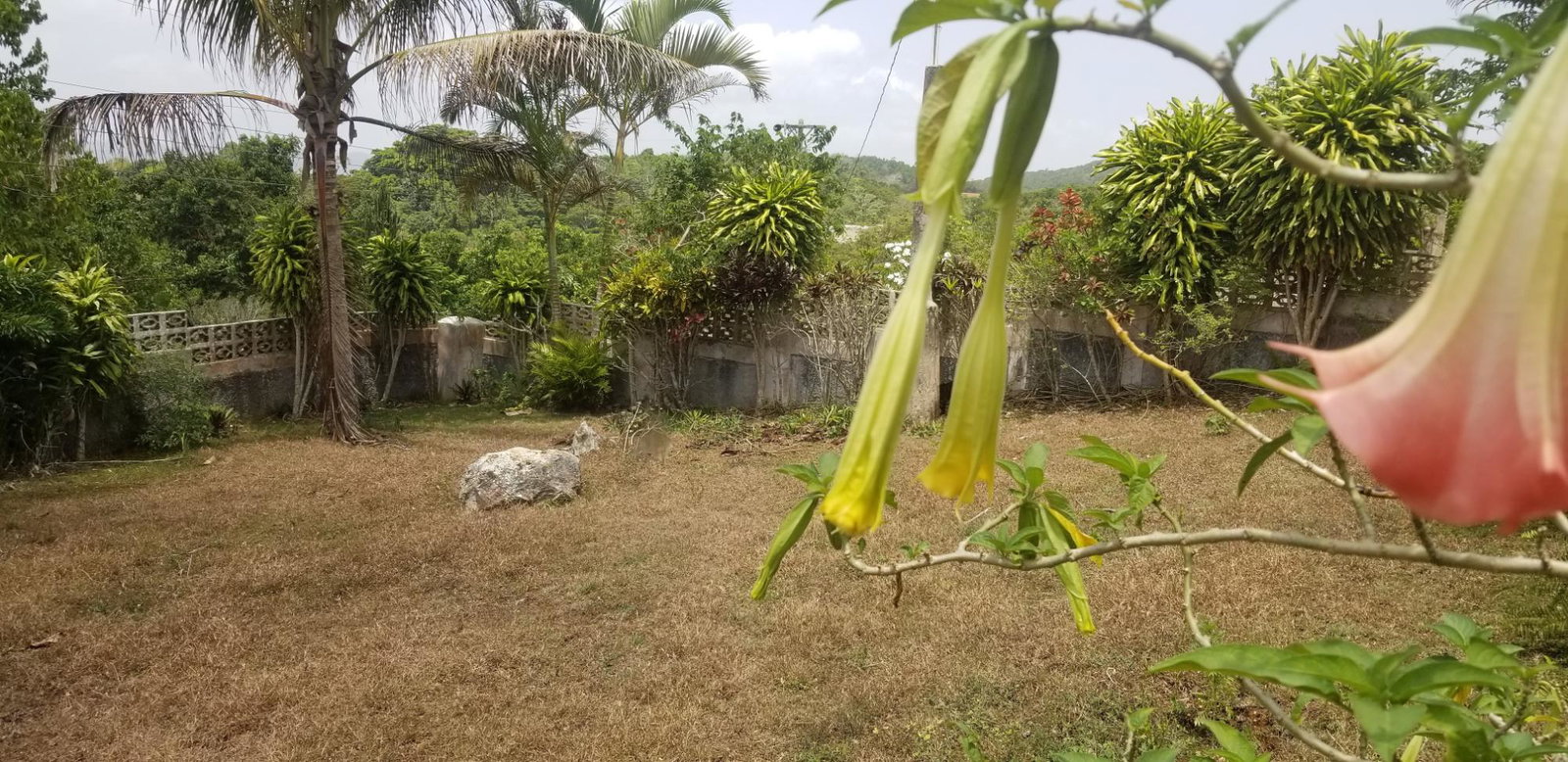 Thirtieth image of Chudleigh, Mandeville in Mandeville, Manchester, Jamaica - property is For Sale