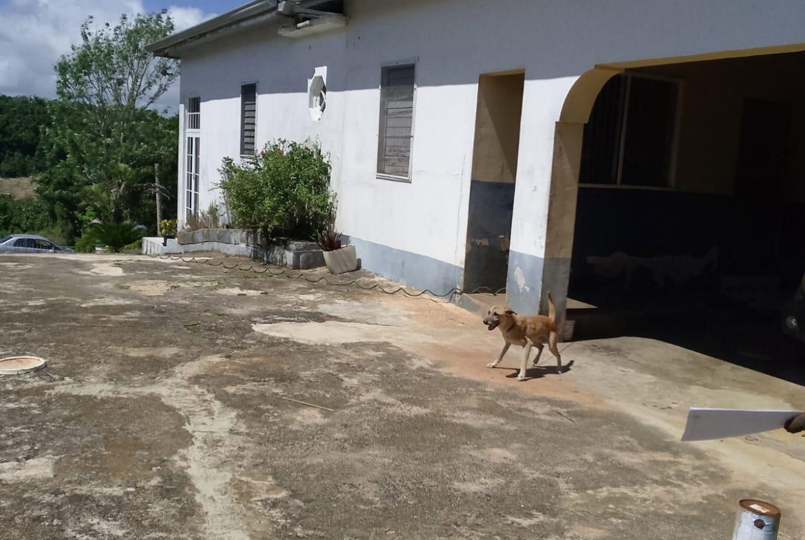 Seventh image of Chudleigh, Mandeville in Mandeville, Manchester, Jamaica - property is For Sale