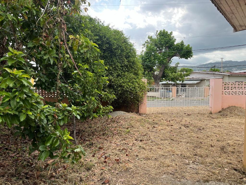 Eighth image of 8 Lucine Avenue, Constant s in Kingston 10, St. Andrew, Jamaica - property is For Sale