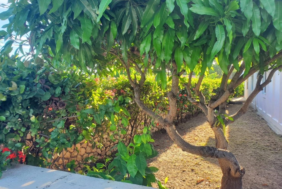 Thirteenth image of 400 Calvary Way in Hellshire Heights, St. Catherine, Jamaica - property is For Sale