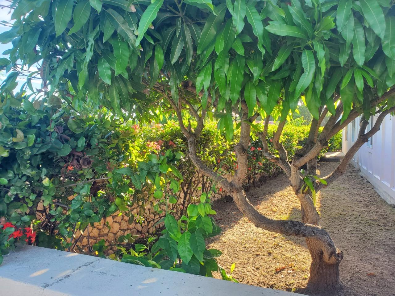 Thirteenth image of 400 Calvary Way in Hellshire Heights, St. Catherine, Jamaica - property is For Sale
